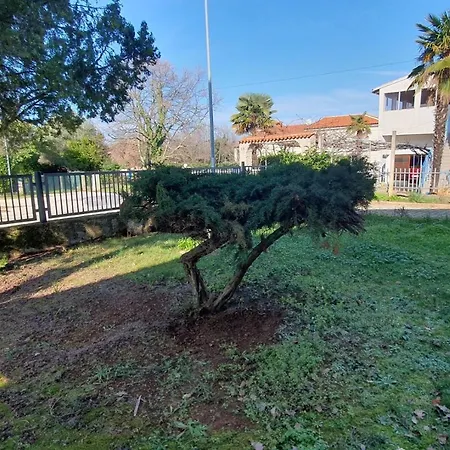 招待所 Jasna Vranici 2km From The Beach 3*